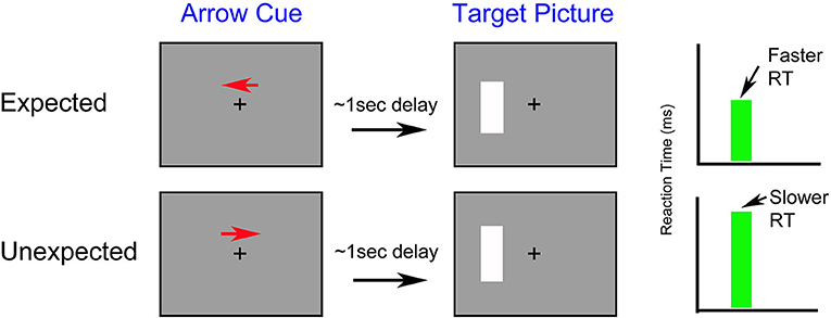图1——关注如何影响反应时间?四个灰色框代表电脑显示器。