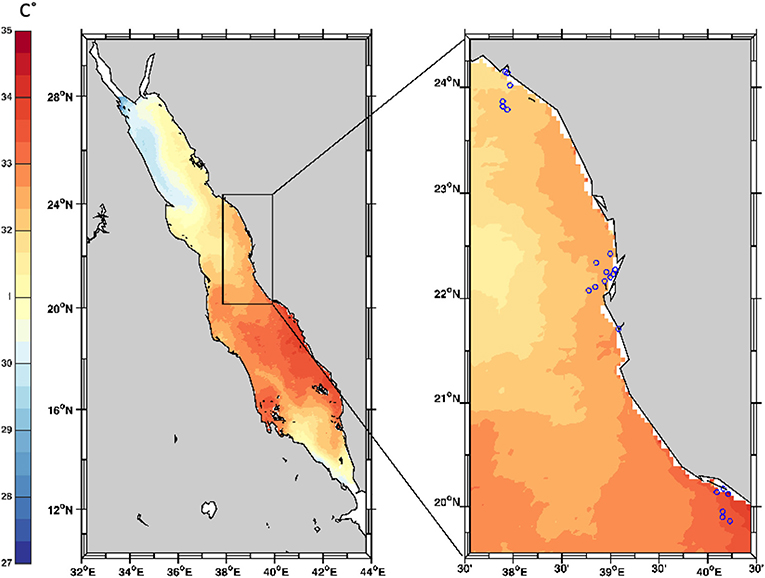 图3 -红海珊瑚黑带病调查地点。