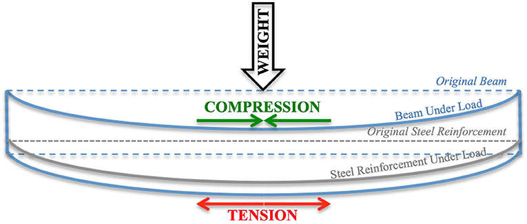 图3 -重量产生的压缩和钢筋混凝土梁的紧张局势。