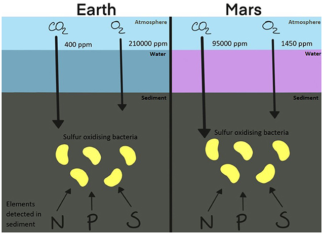 图2 -建议的来源的生活中必不可少的东西元素(碳、氮、氧、磷和硫- CHNOPS)内的呜咽颜色峰值弹簧和水环境预测火星上。