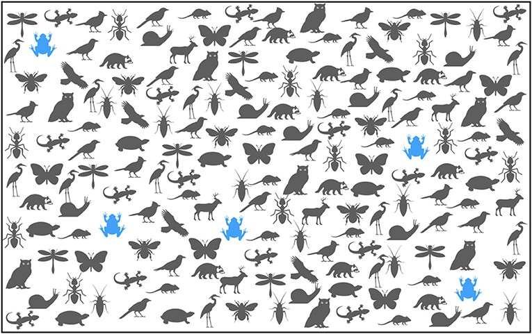图1——你宁愿计数所有的动物还是青蛙?